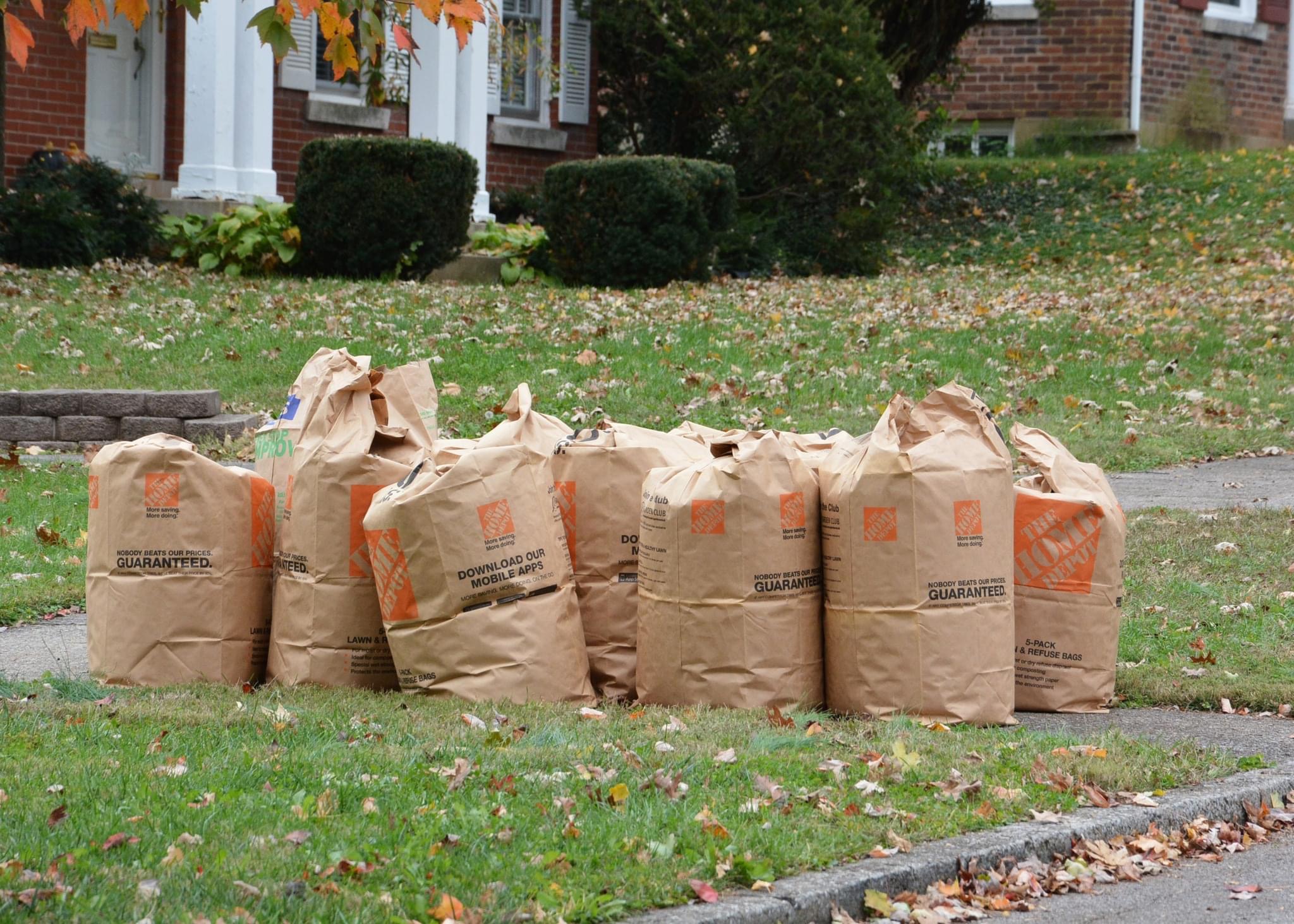 Yard Waste Bag Collection