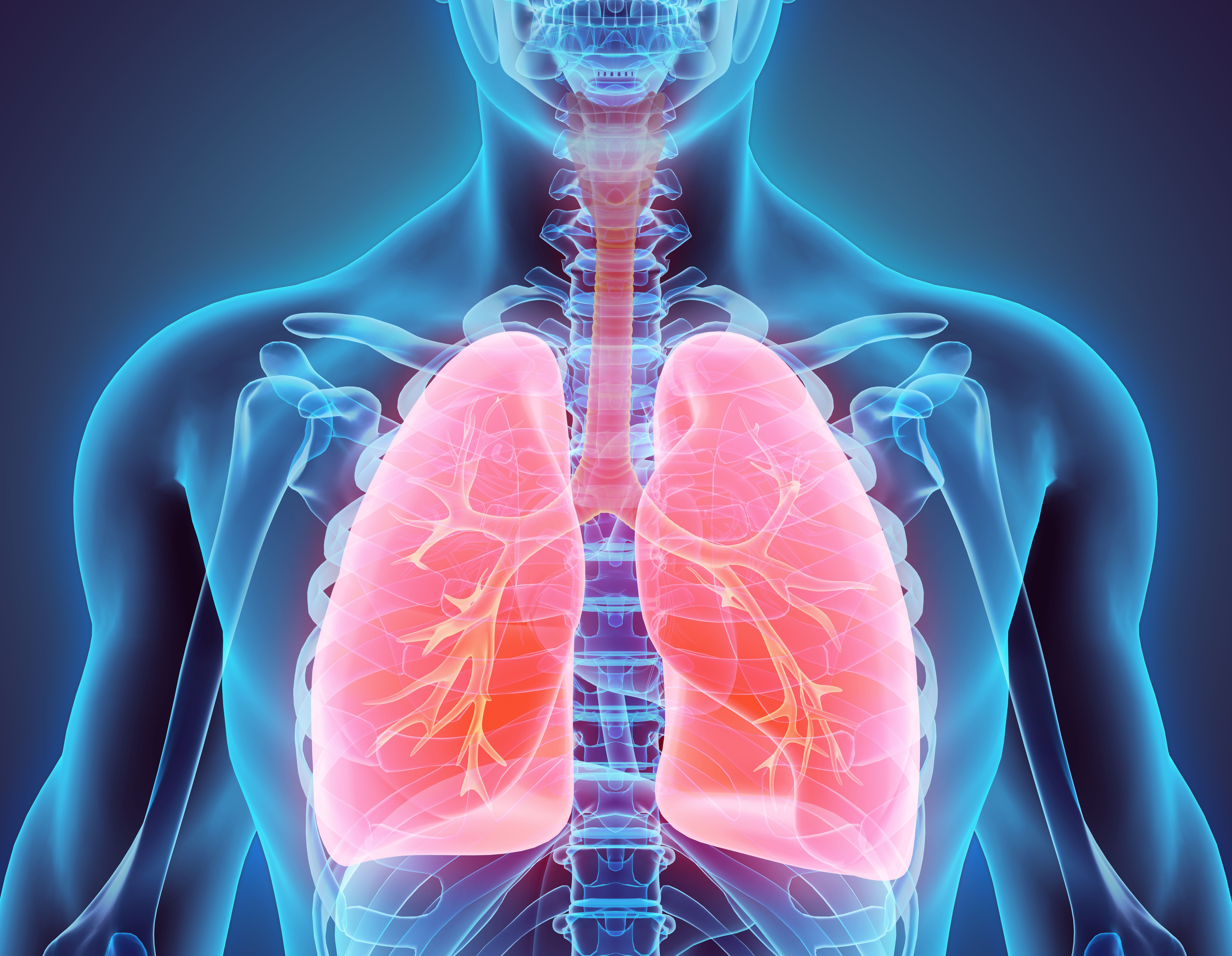 Много информации о легких. Заболевания органов дыхания. Лёгкие органы дыхания.