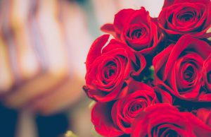 Valentine's Day: bouquet of roses with a blurry background