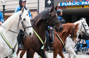 Mounted Unit: police officers on horses