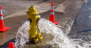 Flushing Program: a yellow hydrant with water coming out