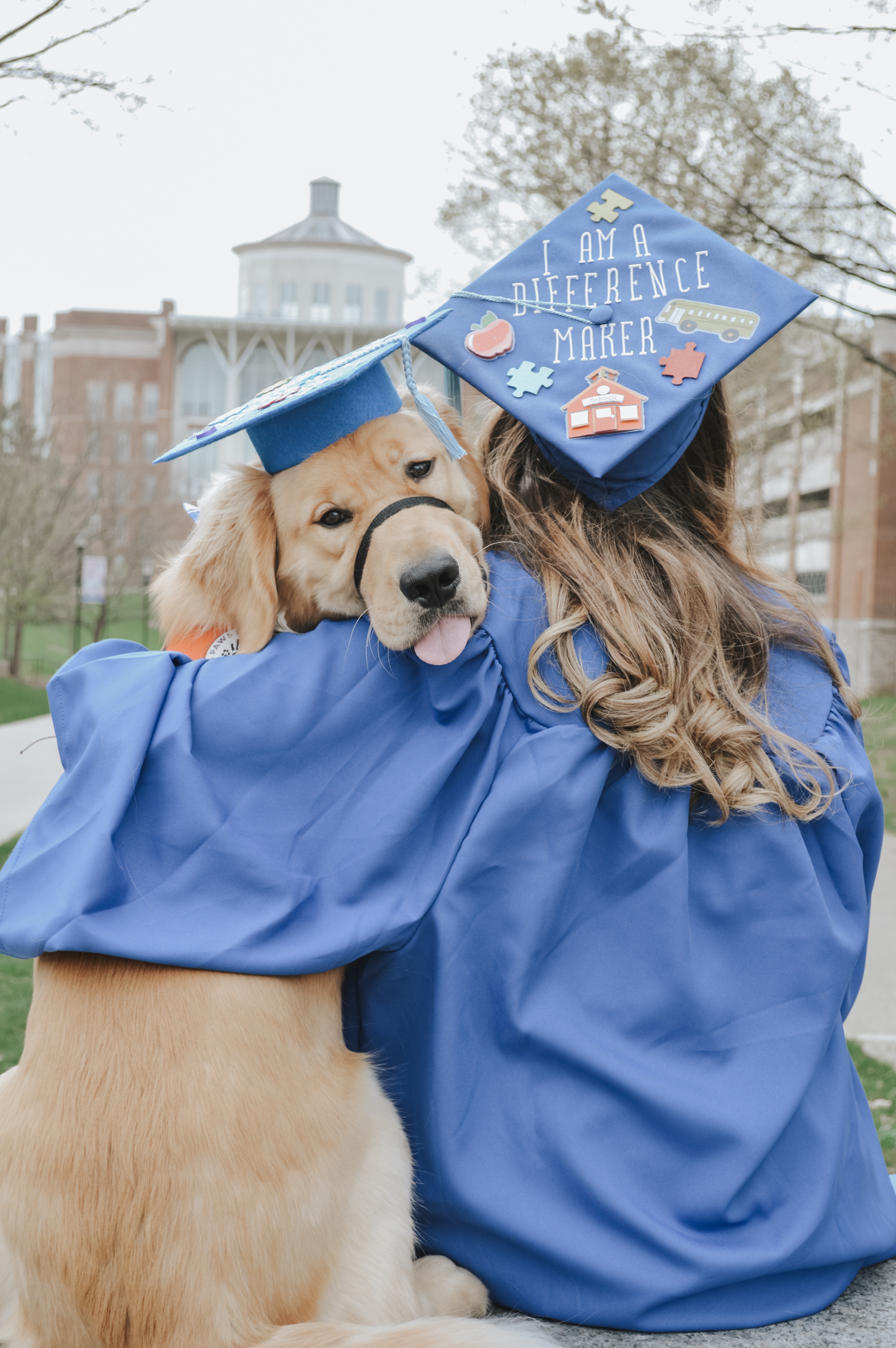Dog Graduation Cap Royalty-Free Images, Stock Photos & Pictures |  Shutterstock
