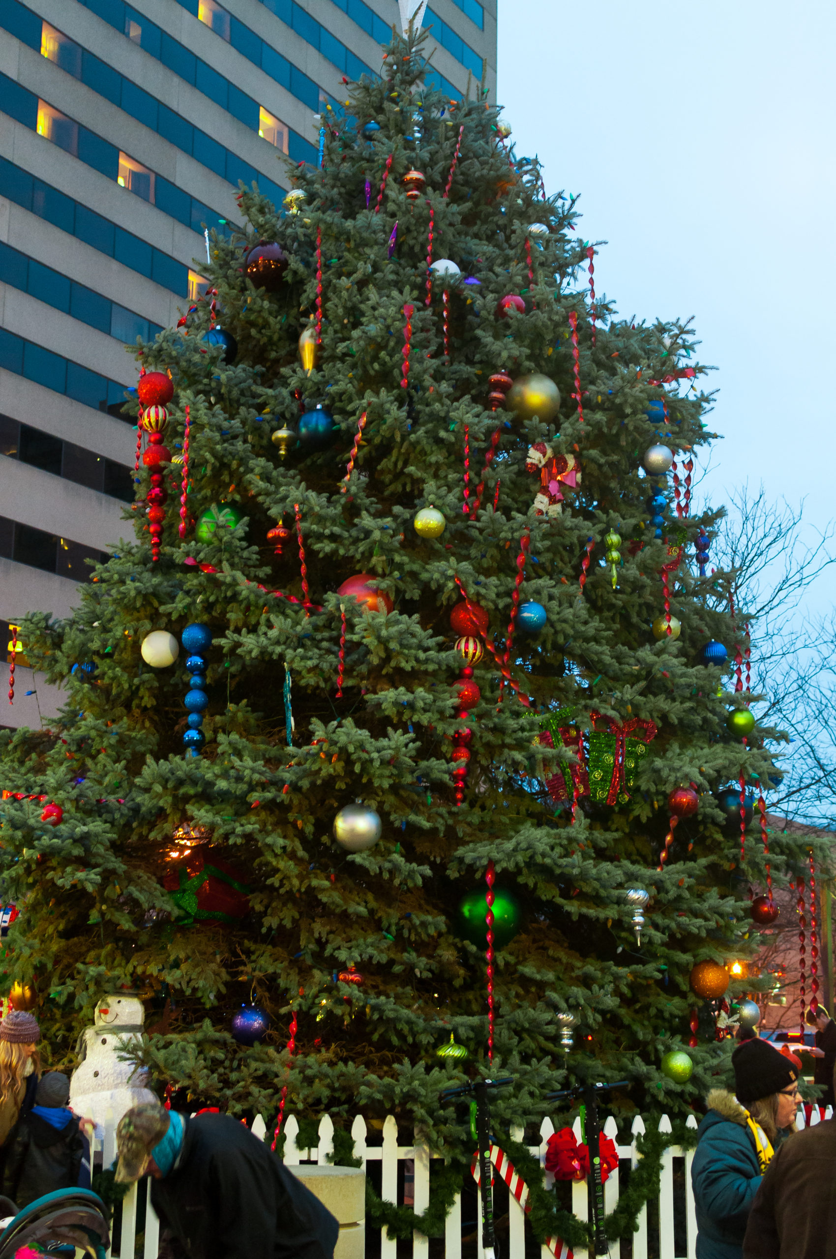 Christmas_Tree_Lighting